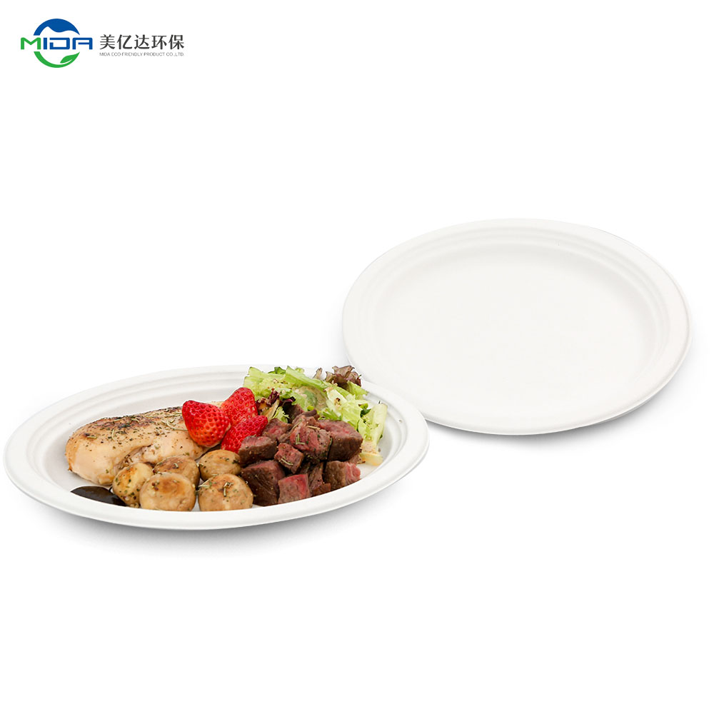  hooray mida 100% Compostable Paper Plates - 10 Inch, Bulk 300  Count - Disposable, Heavy Duty, Biodegradable Plates Made of Bagasse -  Eco-Friendly, Large Size (Natural) : Health & Household