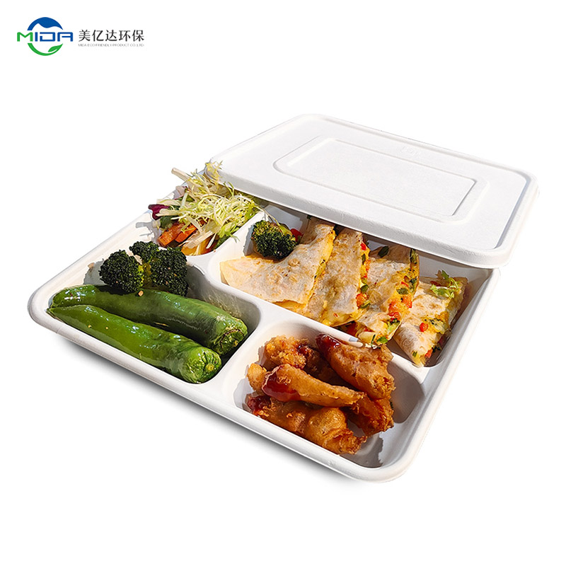 The Rise of Disposable Bento Boxes: Convenience & Sustainability - MIDA
