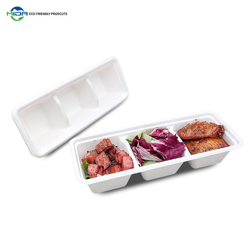 Disposable Biodegradable Sugarcane Bagasse Takeaway Food Containers with Lids