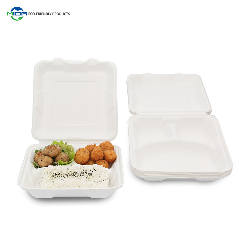 Eco friendly disposable lunch boxes